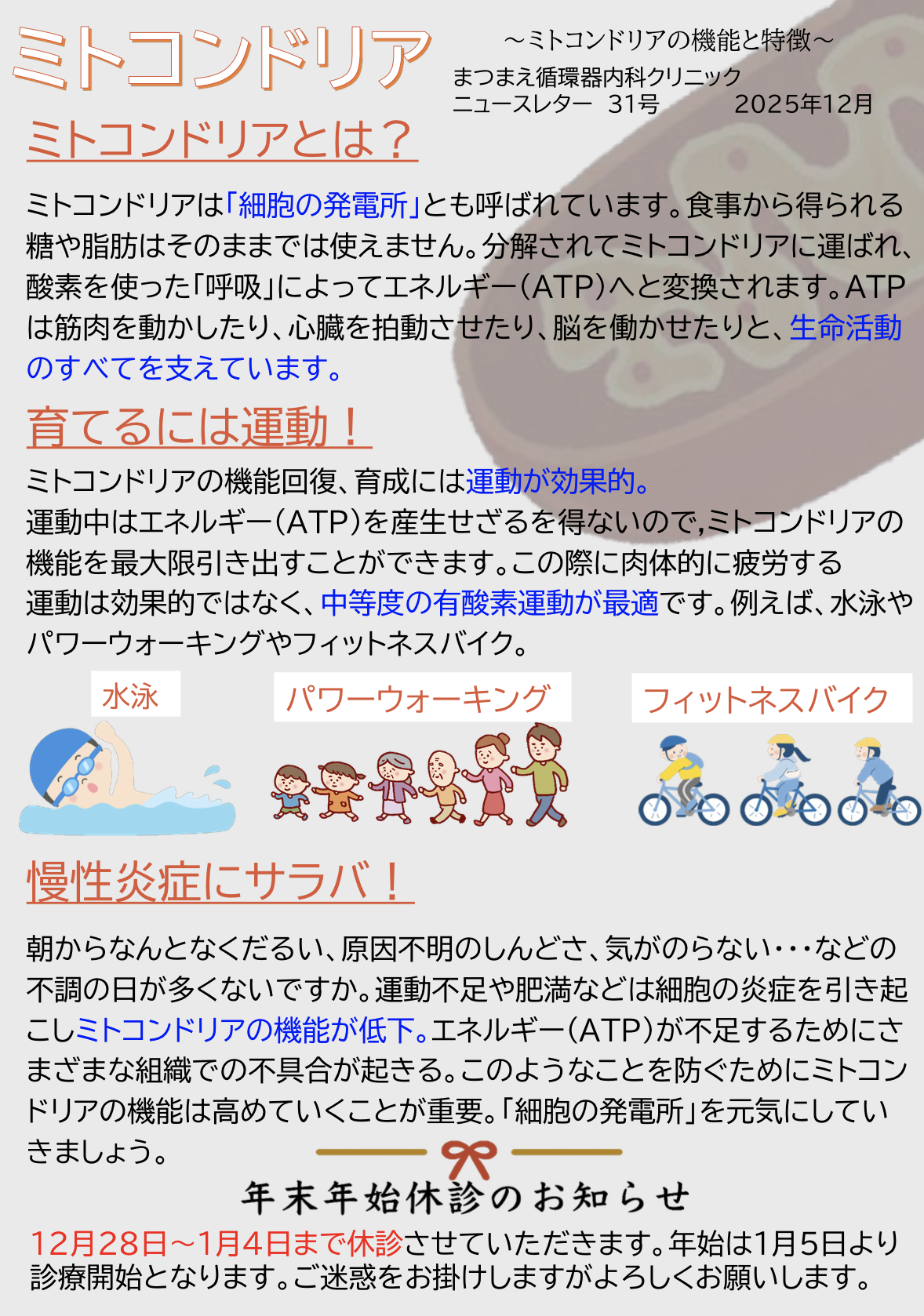 ニュースレター